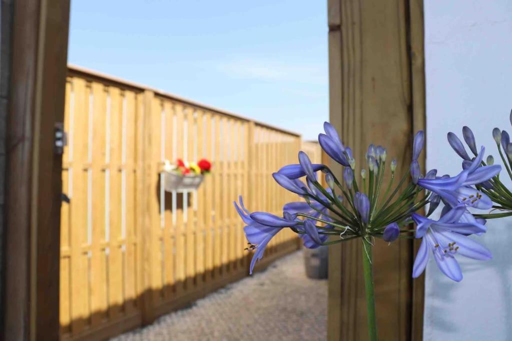 St Agnes Perfect Location, Hot Tub, Sea Views, Gym Apartment Exterior foto